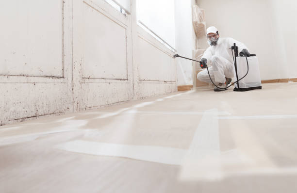 24/7 Emergency Mold Cleanup experts in East Lansing, MI