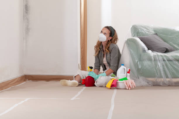 Reliable Mold Cleanup contractor in East Lansing, MI by Cheap Mold Removal